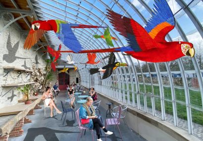 Profitez d’une visite guidée de l’exposition d’Alain Thomas « La Sagesse des Oiseaux » !