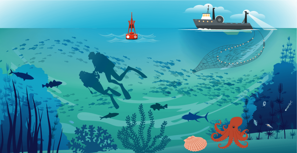 Écoute ta mer ! Conversations sérieuses et décalées sur l’océan avec des scientifiques de l’Ifremer